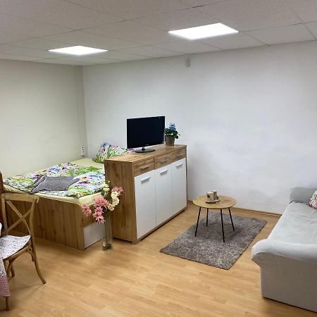 Aparmanovy Byt V Centre Banskej Bystrice & Free Parking 반스카비스트리카 외부 사진